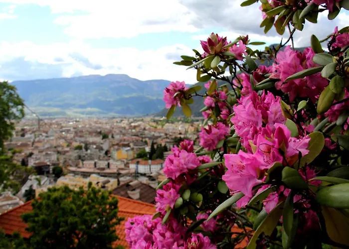 Reiseggerhof לינה וארוחת בוקר *